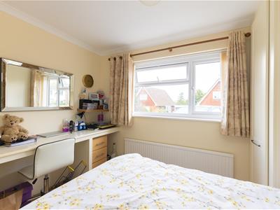 Picture 15